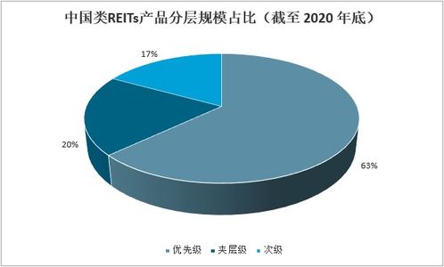 2021-2027年中国REITs行业市场深度分析与投资前景展望报告